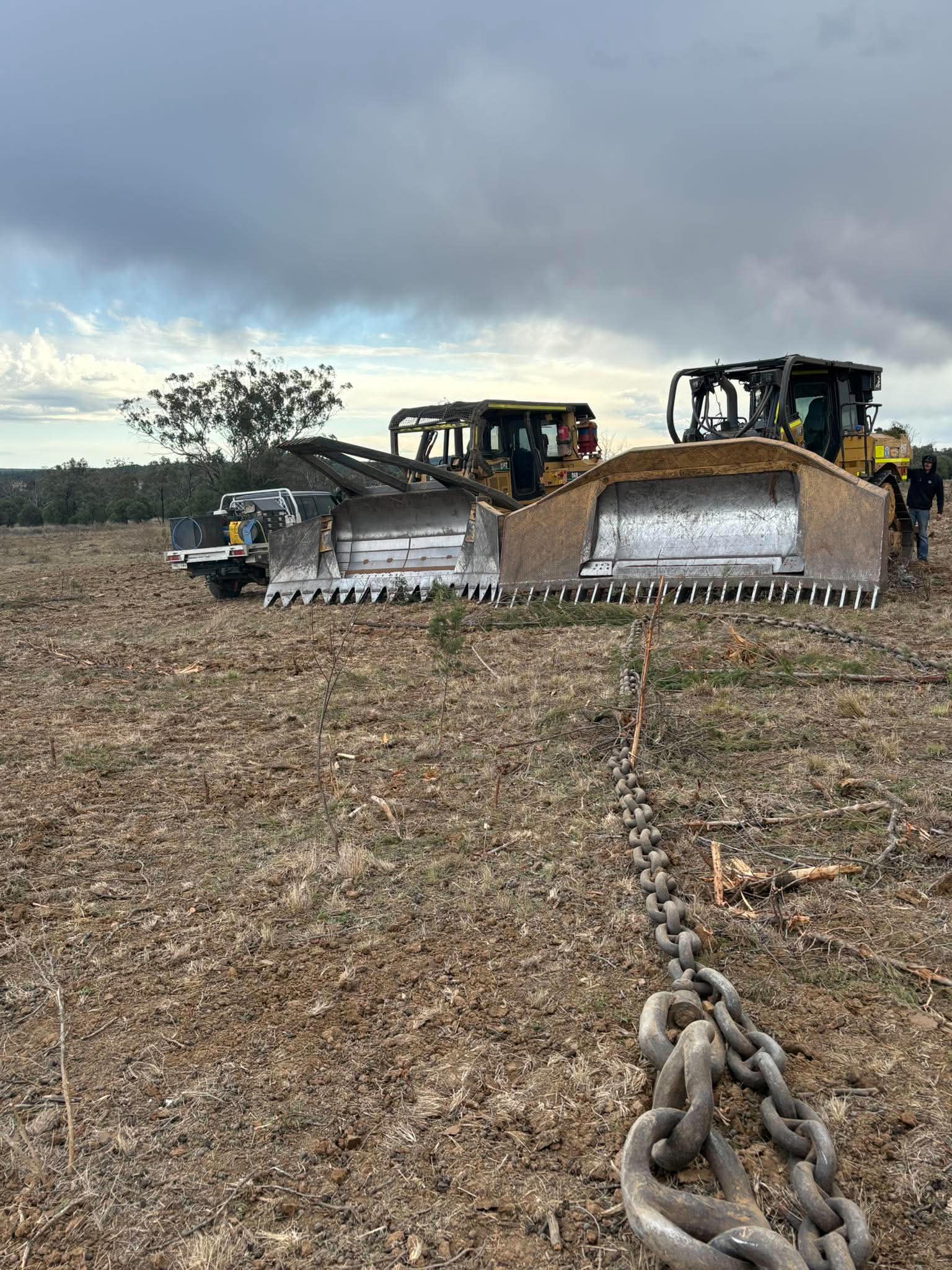 Land Clearing