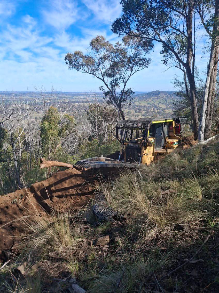 Site Clearing
